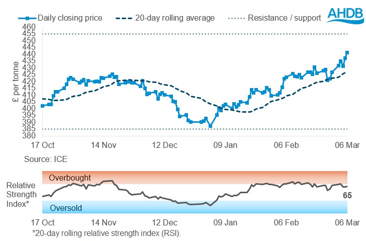 Line graph of Paris rapeseed futures May-26 prices in £/t over the past six months.